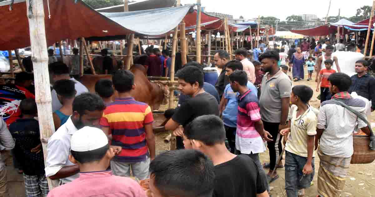 রাজধানীতে নির্ধারিত পশুর হাট গুলোতে ক্রেতা বিক্রেতার ভীড় জমতে শুরু করেছে। 