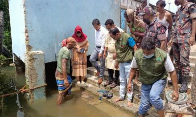 আখাউড়ায় জব্দকৃত বিরল প্রজাতির চল্লিশটি কচ্ছপ তিতাস নদীতে অবমুক্ত