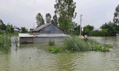 একদিনে ৩৫ সেমি কমে বিপৎসীমার নিচে যমুনার পানি