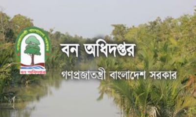 এইচএসসি পাসেই বন অধিদপ্তরে চাকরি