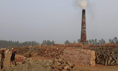 টাঙ্গাইলে অবৈধ ইটভাটায় পুড়ছে বনের কাঠ