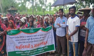 শনিবার থেকে সারাদেশে চা শ্রমিকদের লাগাতার কর্মবিরতি