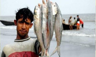 মধ্যরাত থেকে ইলিশ ধরা নিষিদ্ধ