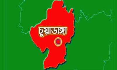 বসতবাড়ি থেকে উদ্ধার ৩৫ গোখরা জাতের অজগর