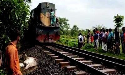 বাগাতিপাড়ায় ট্রেনে কাটা পড়ে যুবকের মৃত্যু