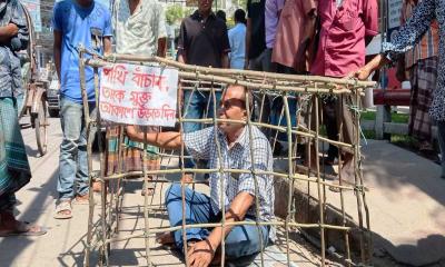 পাখির মুক্ত বিচরণের দাবিতে নবীনের ব্যাতিক্রম কর্মসূচি