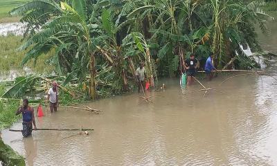 ফরিদপুরে প্রবল বর্ষণে নতুন পানিতে মাছ ধরার ধুম