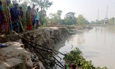 নদী ভাঙনে বাঁধের ১০০ মিটার বিলীন