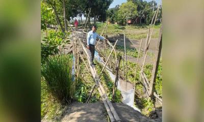 ঝুঁকিপূর্ণ বাঁশের সাঁকোই ভরসা সাত গ্রামের মানুষের