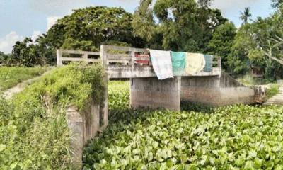 মুন্সীগঞ্জে সেতু আছে রাস্তা নেই, দুর্ভোগ