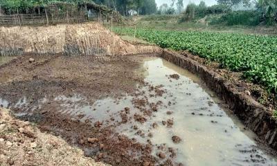 নদীর বাঁধ কেটে ইটভাটায় মাটি বিক্রি