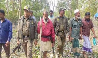 আতঙ্ক কাটেনি গ্রামবাসীদের শরণখোলার লোকালয়ে বাঘের খোঁজে বনবিভাগের তল্লাশী