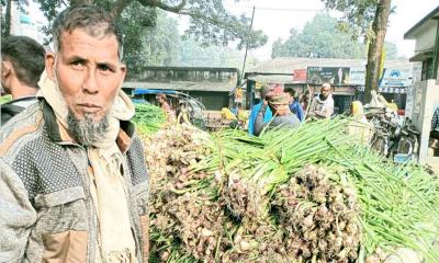 পেঁয়াজের দামে হতাশ বিরামপুরের চাষিরা