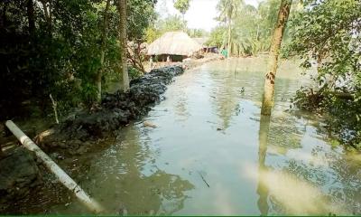 পশুর নদীতে রিং বাঁধ নির্মাণ