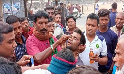 গাংনীতে মৌমাছির কামড়ে ৩০ পথচারী আহত