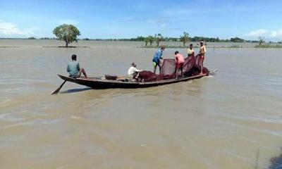 মদনে হাওরাঞ্চলে বিলুপ্তির পথে দেশি মাছ