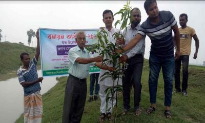 জয়পুরহাটে বৃক্ষরোপণ কর্মসূচির উদ্বোধন