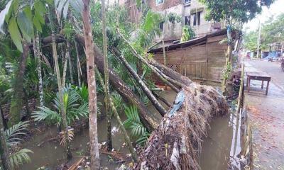 ঘূর্ণিঝড় সিত্রাংয়ের তাণ্ডবে বাগেরহাটে ২ হাজার ঘরবাড়ি বিধ্বস্ত