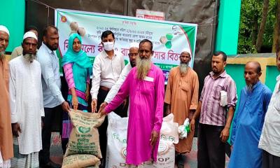 ফুলবাড়ীতে বন্যায় ক্ষতিগ্রস্ত কৃষকদের মাঝে বিনামূল্যে বীজ ও সার বিতরণ
