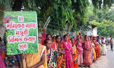 প্রধানমন্ত্রীর সঙ্গে চা-বাগান মালিকদের বৈঠক বিকেলে