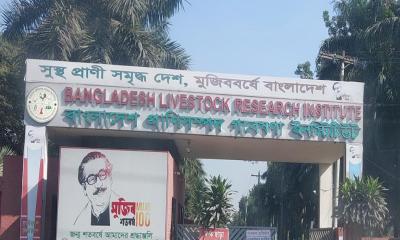 সাভারের বিএলআরআইতে ৩৫ শতাংশ পদ শূন্য