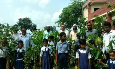 তেঁতুলিয়ায় শিক্ষার্থীদের মাঝে গাছের চারা বিতরণ