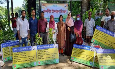 সিরাজদীখানে পারিবারিক সবজি-পুষ্টির বাগান প্রদর্শনী’র উপকরণ বিতরণ