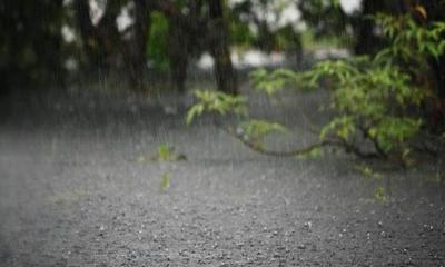 ৩ দিনের মধ্যে লঘুচাপে বৃষ্টির সম্ভাবনা
