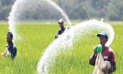 বিদেশ থেকে ৮০ হাজার টন সার কিনবে সরকার