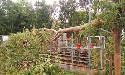 সুনামগঞ্জে সাড়ে ৪ হাজার গ্রাহকের গ্যাস সরবরাহ বন্ধ