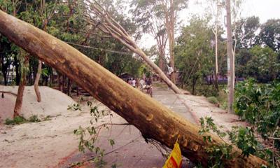 নড়াইলে ঘূর্ণিঝড় সিত্রাংয়ের প্রভাবে প্রাণ গেল নারীর