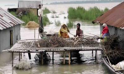 কুড়িগ্রামে পানিবন্দী ৫০ হাজার মানুষ