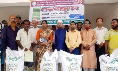 অভয়নগরে কৃষকদের মাঝে বিনামূল্যে বীজ ও সার বিতরণ