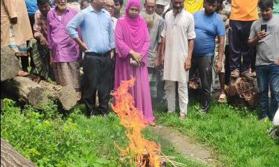 বাগাতিপাড়ায় বিষাক্ত ‘সাকার মাউথ ক্যাট ফিস’ জব্দ!