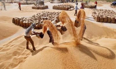 বিশ্বে খাদ্যপণ্যের দাম ১৮ শতাংশ কমেছে