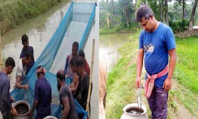 মিশ্র পদ্ধতিতে চিংড়ি চাষে সফল মফিজুর রহমান