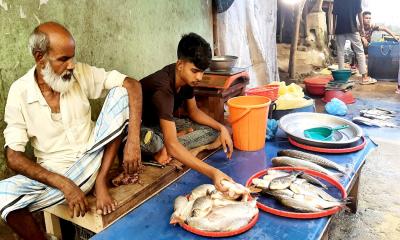 ফুলপুর বাজারে মাছসংকট, দাম চড়া