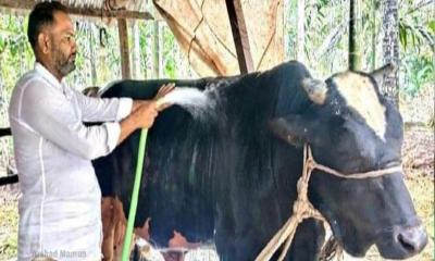 লালমোহনে দশ লাখে মিলবে ‘মানিক’