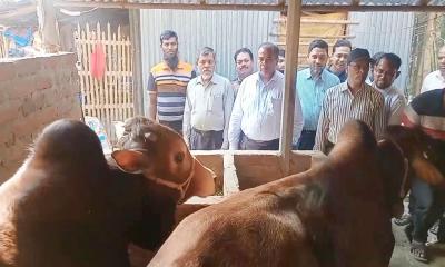 মেহেরপুরে খামার পরিদর্শনে অতিরিক্ত বিভাগীয় কমিশনার