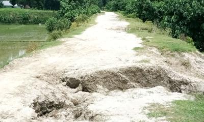 হুমকিতে ব্রহ্মপুত্র নদের বালি-মাটির বেড়িবাঁধ