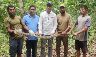 কাপ্তাই জাতীয় উদ্যানে অজগর সাপ অবমুক্ত