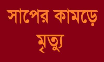 রাণীশংকৈলে সাপের কামড়ে বিশ্ববিদ্যালয় ছাত্রের মৃত্যু