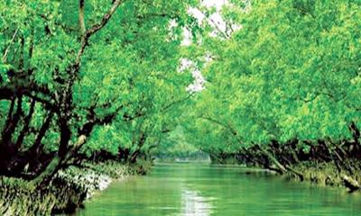 ক্ষতবিক্ষত সুন্দরবনের আয়তন কমেছে