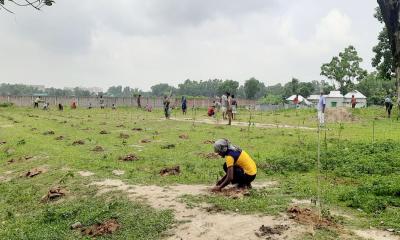 ভালুকায় শতকোটি টাকা মূল্যের বনভূমি উদ্ধার করে সামাজিক বনায়ন