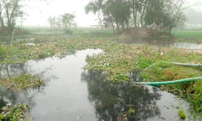 নান্দাইলে জমি দখলে নিতে কৃষক পরিবারকে হয়রানি