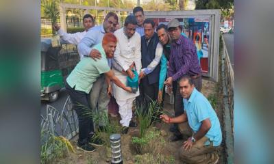 ‘অক্সিজেন ও পরিবেশ ভারসাম্য রক্ষায় বৃক্ষ রোপণের কোন বিকল্প নাই’