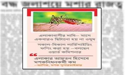 বদ্ধ জলাশয়ে মশার রাজত্ব