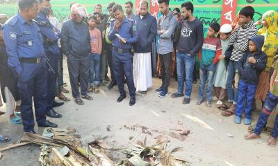 বাবার সামনেই অটোরিক্সার ধাক্কায় প্রাণ গেল শিশুর