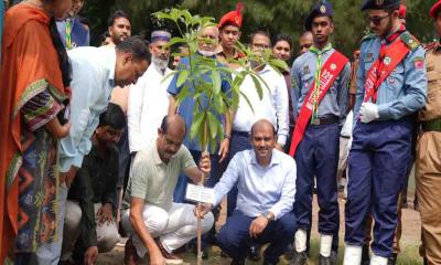 প্রতিটি বাড়িতে ২টি করে গাছ লাগানোর আহ্বান মেয়রের