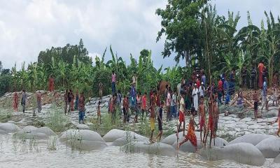 হরিরামপুরে পদ্মা নদীতে ৪৭টি গরুসহ ট্রলার ডুবি